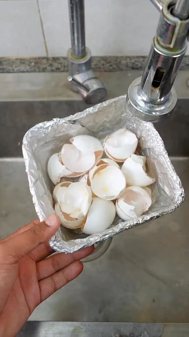 A hand holding a foil-lined container filled with white eggshells over a kitchen sink.
