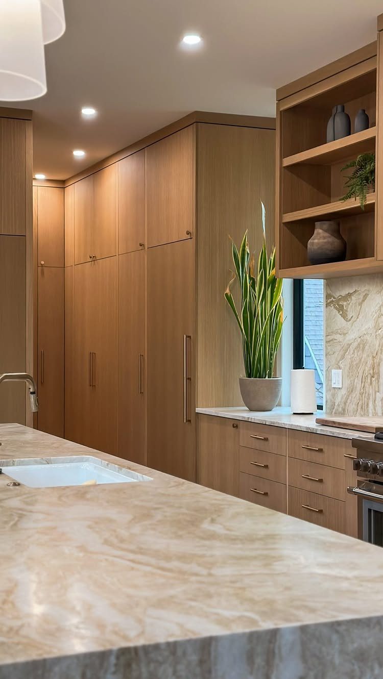 Light wood kitchen cabinets with long handles and a marble countertop featuring a green plant.
